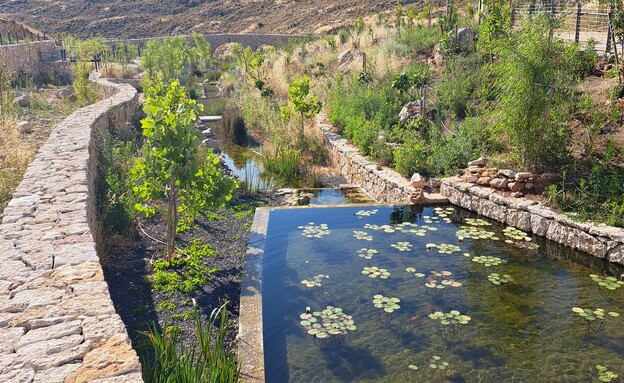 פארק אמות המים באפרת  (צילום: דניאל בראון)