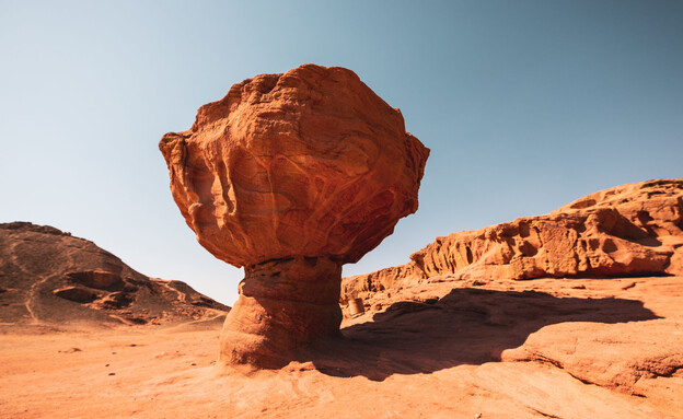 טיפוס בפטרה טיפוס בפטרה