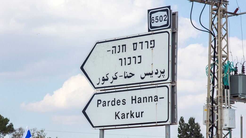 הפגנה נגד המהפכה המשפטית בפרדס חנה-כרכור