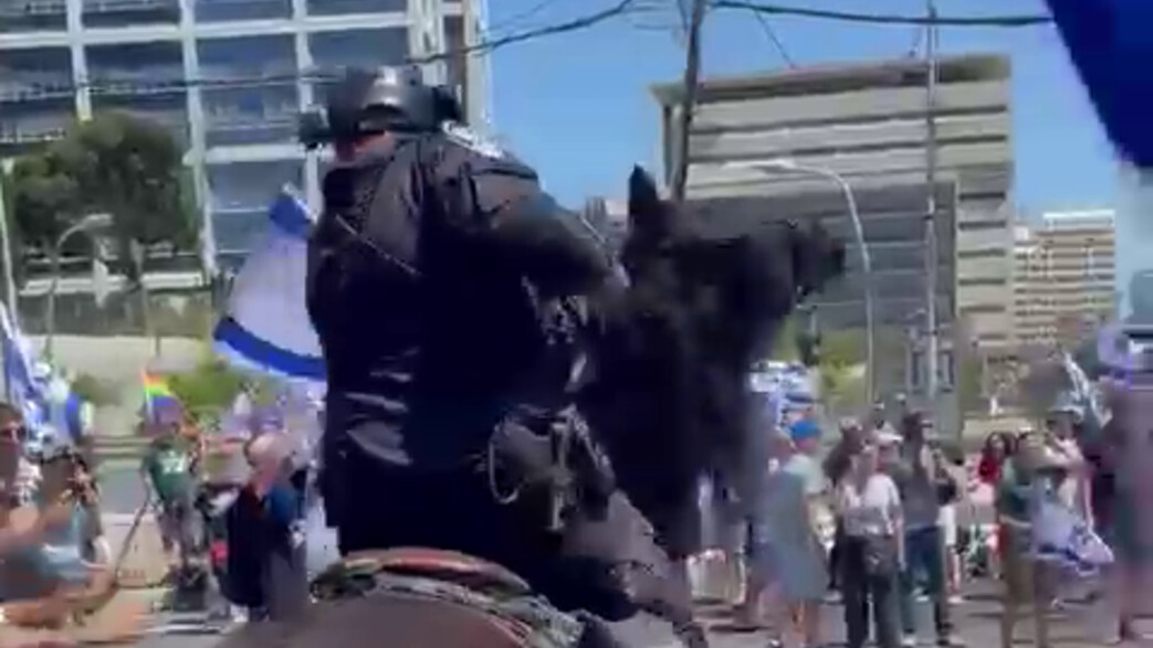 פרש מפיל מפגינה על הכביש פרש מפיל מפגינה על הכביש