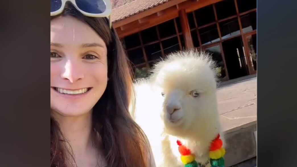 דילן מולבני