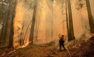 משבר האקלים (צילום: David McNew, Greenpeace)