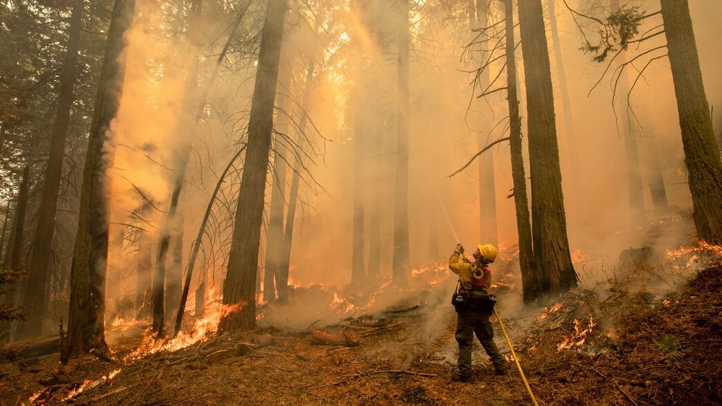 משבר האקלים (צילום: David McNew, Greenpeace)