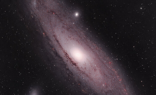 גלקסיית אנרומדה (צילום: לירון פייביש נגר)