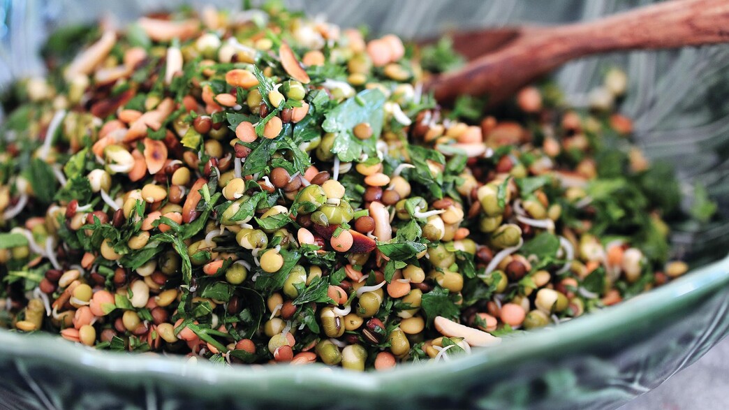 סלט נבטוטים צבעוני