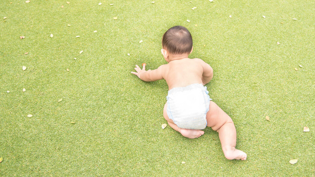 תינוק בחצר, אילוסטרציה