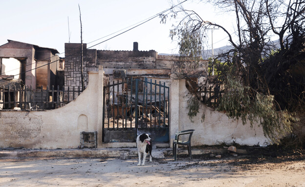 נזקי השרפות בהרים שליד אתונה ביוון (צילום: רויטרס)