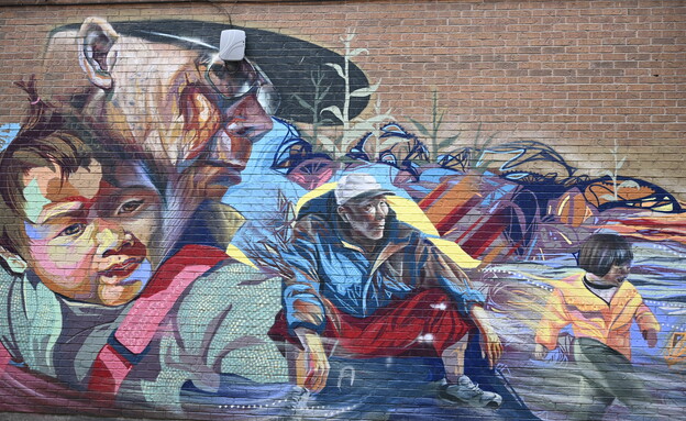 אומנות רחוב טורונטו (צילום: ניסים לוי )