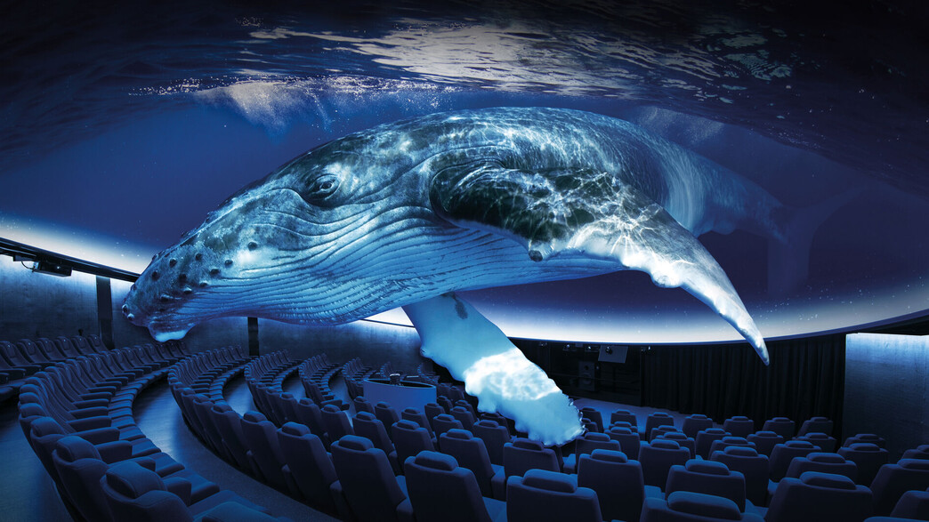 אקווה דום המצפה התת ימי אילת