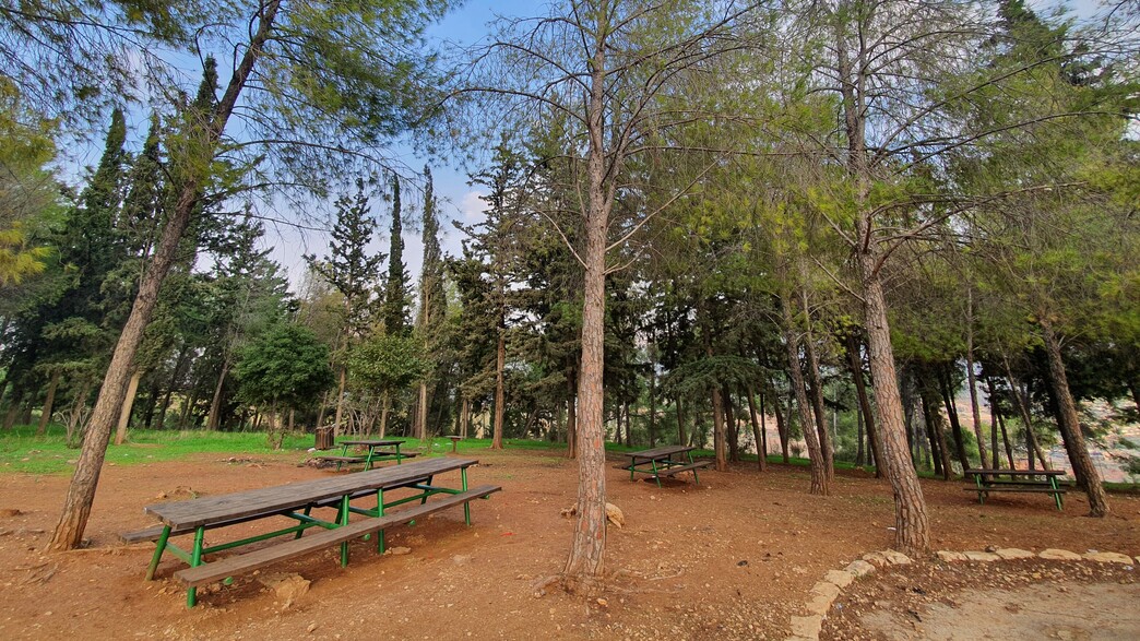 דרך נוף הרי נפתלי דרך נוף הרי נפתלי