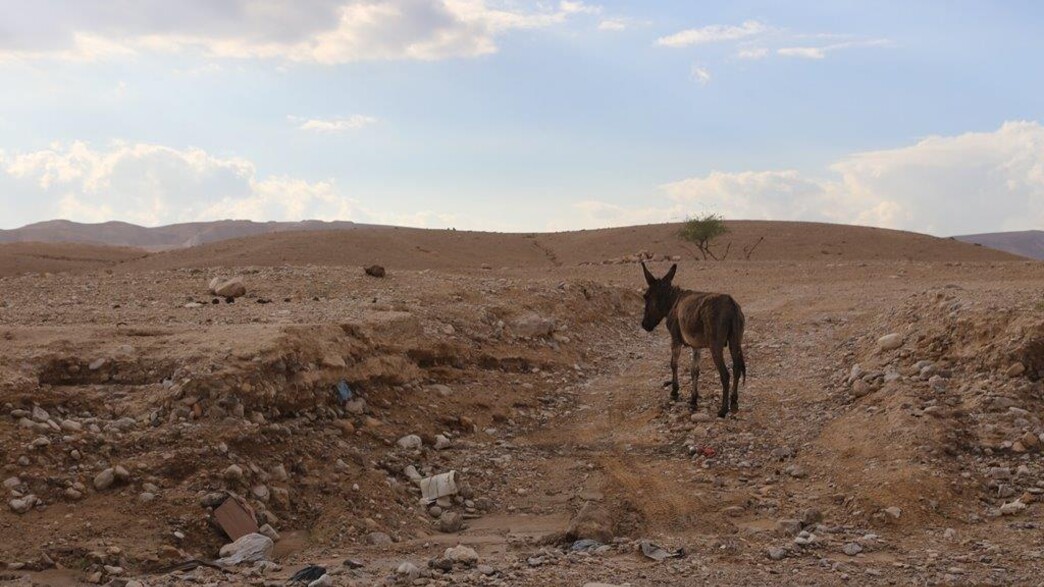 נחל קדרון מדבר יהודה נחל קדרון מדבר יהודה
