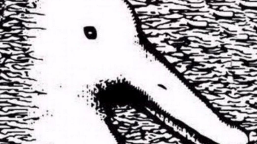 אשליה אופטית