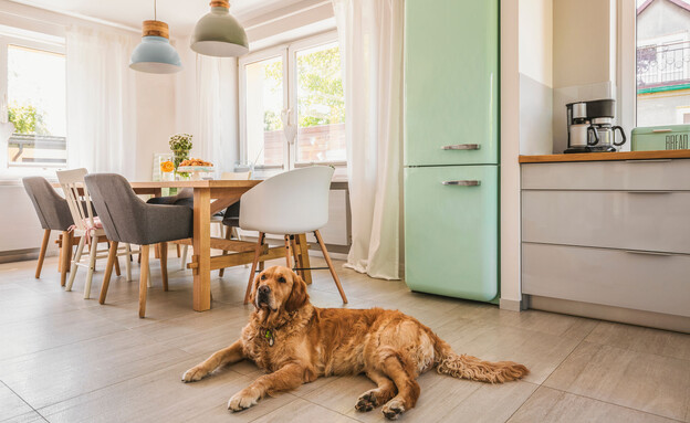 מטבח בצבעי פסטל, כלב במטבח (צילום: Ground Picture, SHUTTERSTOCK)