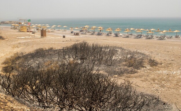 הנזק מהשרפות באי רודוס, יוון (צילום: רויטרס)