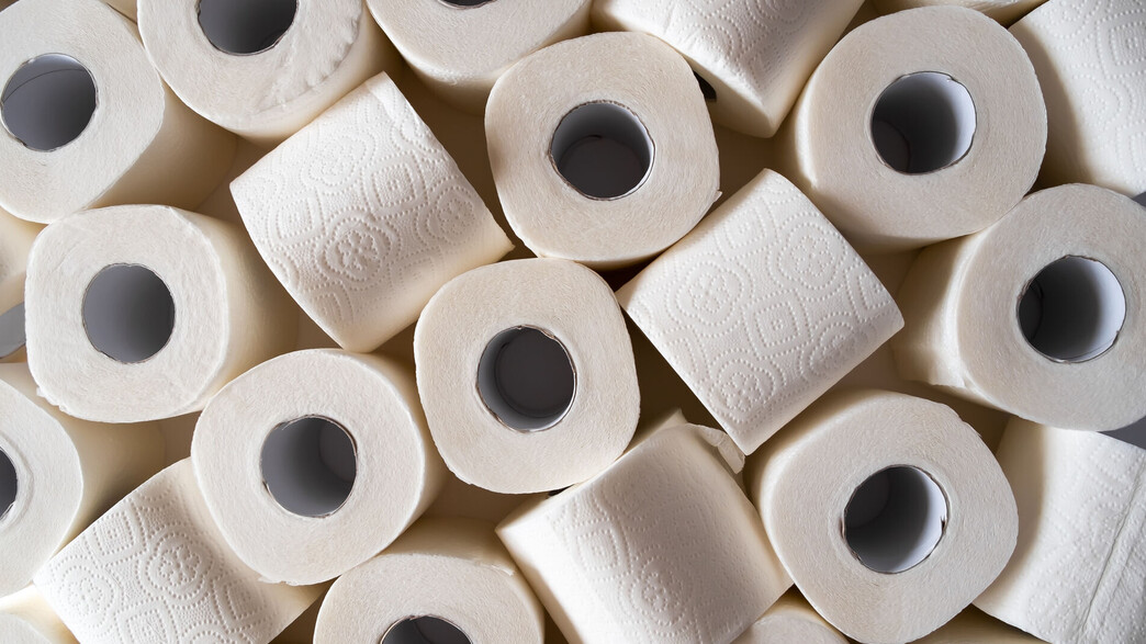 גלילי ניר טואלט גלילי ניר טואלט