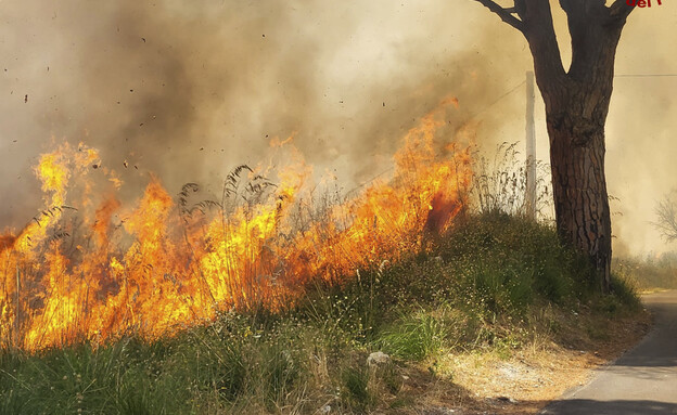 שריפות באיטליה (צילום: AP)
