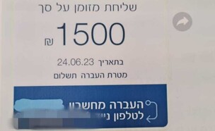 הונאת כרטיסים ושידול לזנות (צילום: דוברות משטרת ישראל)
