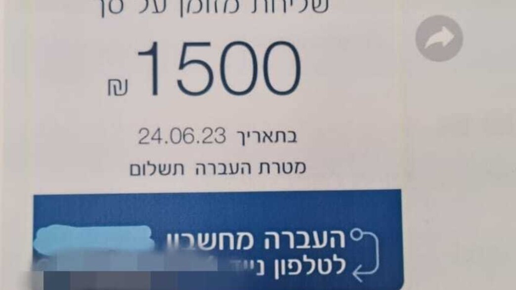 הונאת כרטיסים ושידול לזנות (צילום: דוברות משטרת ישראל)