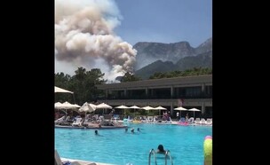 שריפות בקמר (צילום: טוויטר)