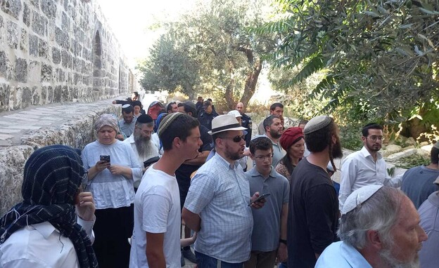 יהודים עולים להר הבית (צילום: נתנאל מלכותיה, TPS)