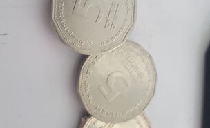 מטבעות מזויפים של חמישה שקלים (צילום: משטרת ישראל)