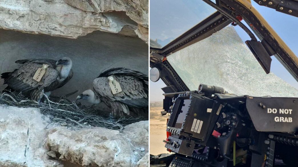 הנשר ומסוק הקרב שנפגע במהלך טיסת אימונים בדרום הנשר ומסוק הקרב שנפגע במהלך טיסת אימונים בדרום