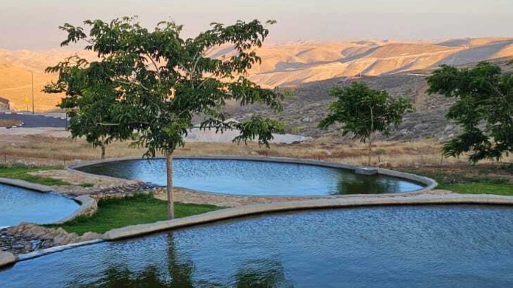 עינות נוקדים עינות נוקדים