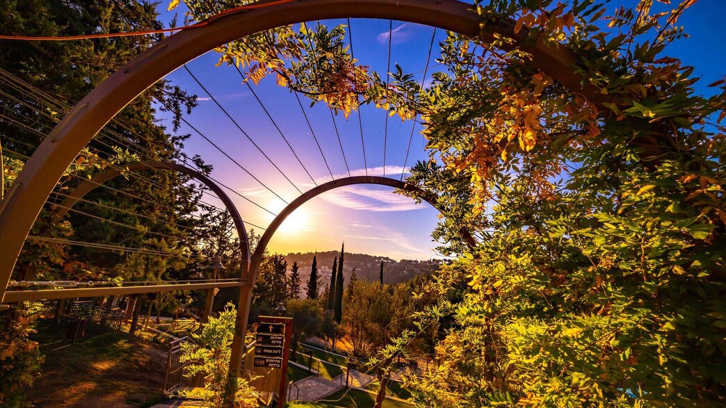 קמפינג אווירה - עיר דוד