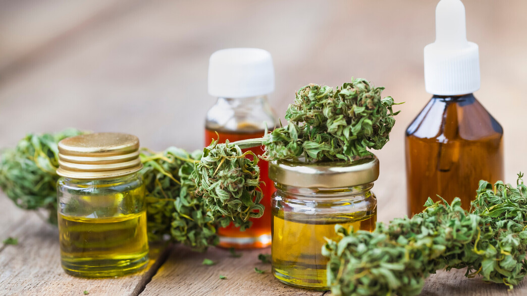 קנאביס רפואי קנאביס רפואי