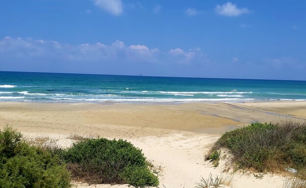 חוף מעגן מיכאל (צילום: אריאלה אפללו)