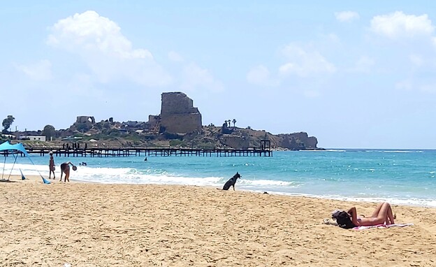 חוף המבצר (צילום: אריאלה אפללו)