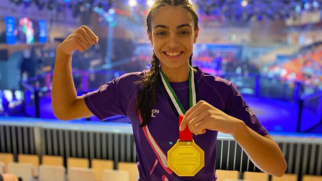 ניקה שוריגין MMA