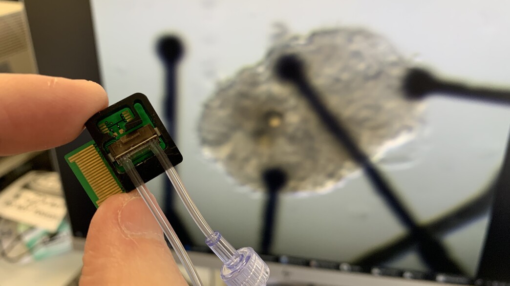 מודל הלב מודל הלב