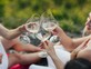 מסיבת טבע, אלכוהול (צילום: Summer loveee, shutterstock)