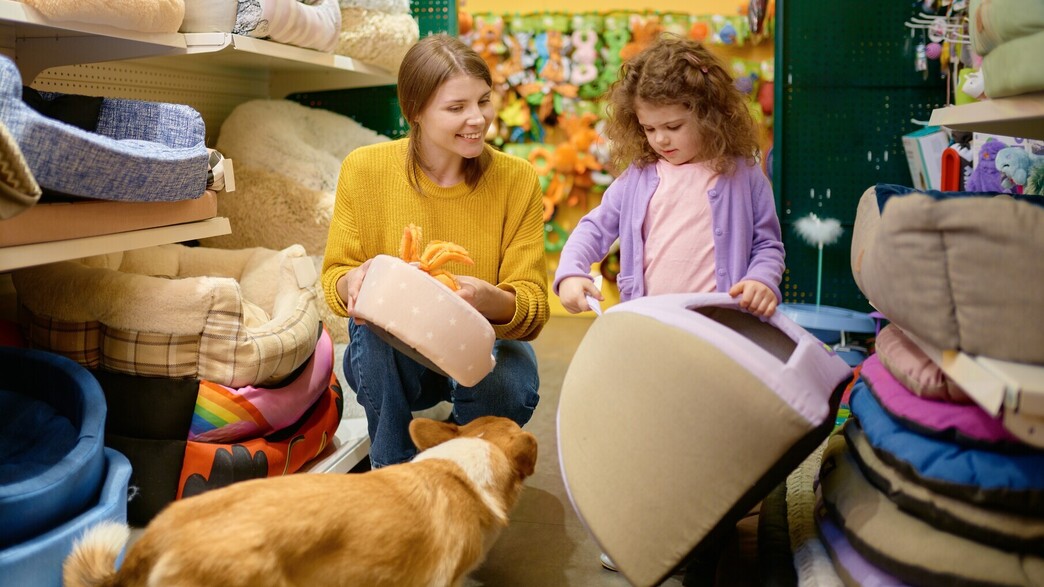 חנות חיות חנות חיות