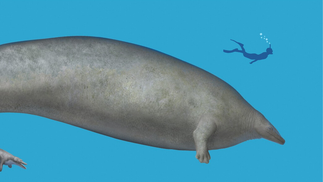 לוויתן קדום