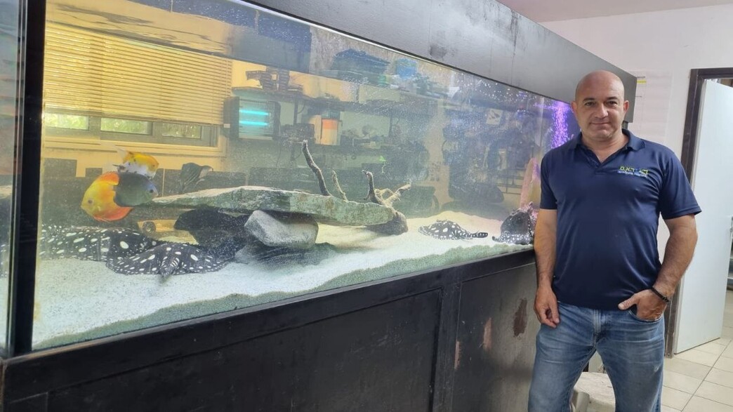 קנה דגים בחנות עם רישיון במרכז הארץ – והסתבך בפרשה קנה דגים בחנות עם רישיון במרכז הארץ – והסתבך בפרשה