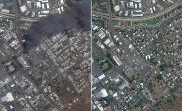 השרפה בהוואי - לפני ואחרי (צילום: MAXAR)