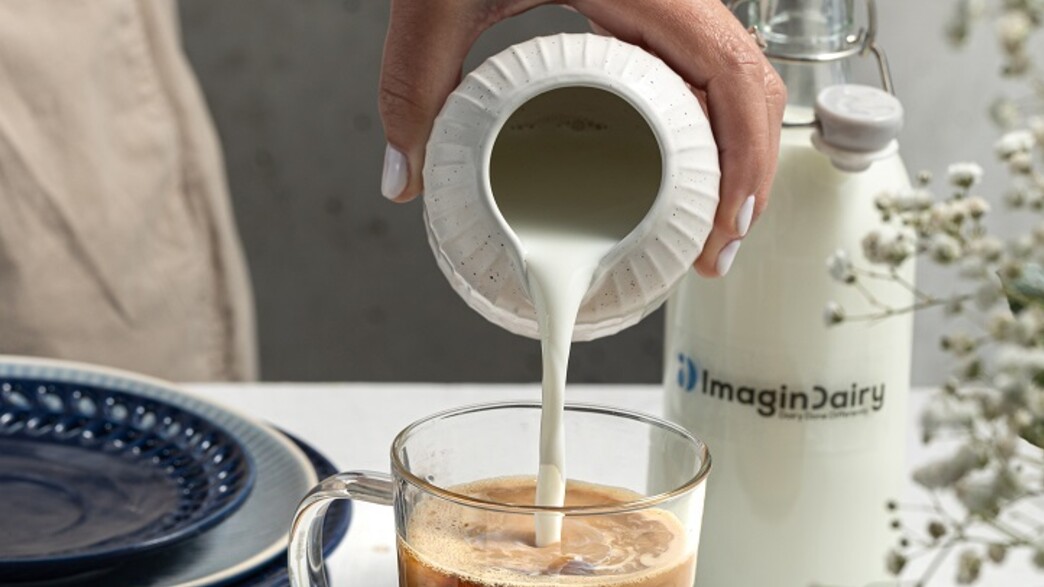 חברת אימג'נדרי ImaginDairy פודטק חלבוני חלב חברת אימג'נדרי ImaginDairy פודטק חלבוני חלב
