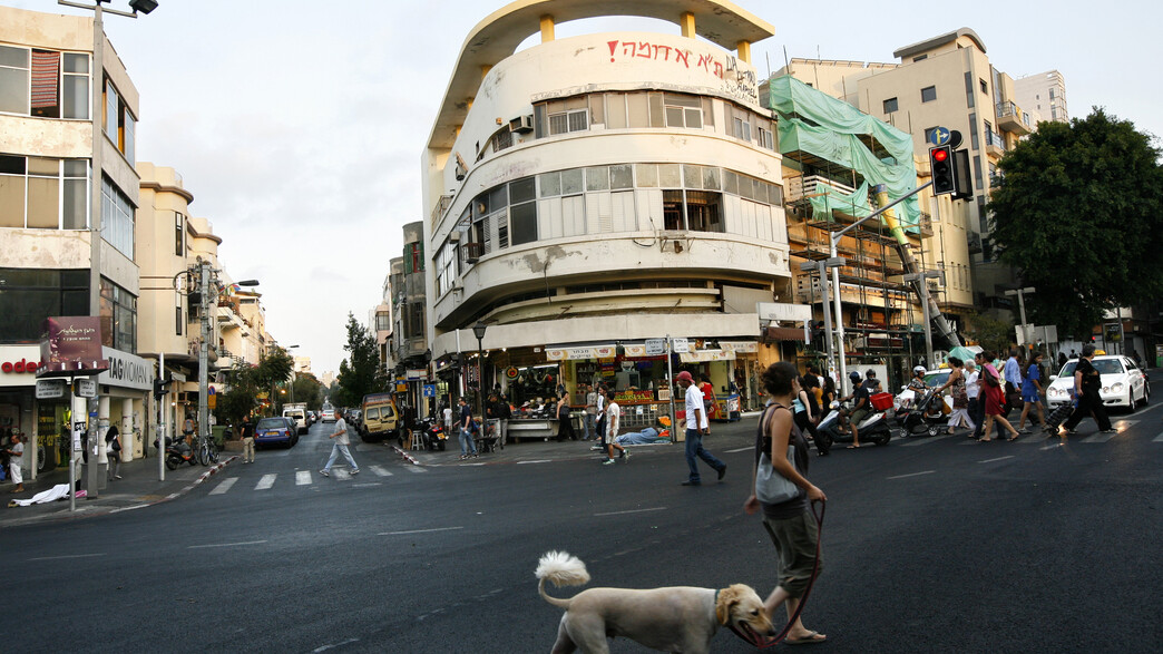 אלנבי בשנת 2008.  