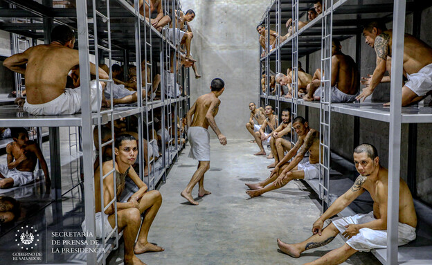 100 אסירים בתא כלא אחד (צילום: Handout/Anadolu Agency, getty images)