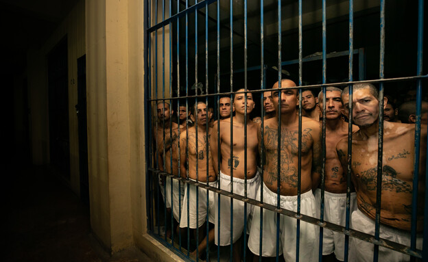 אסירי הכנופיות בכלא באל סלוודור (צילום: Handout/Presidencia El Salvador, getty images)