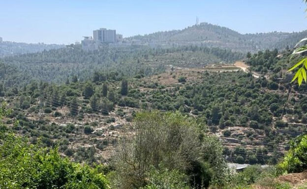 מעיינות הסטף, מעיינות בהרי ירושלים (צילום: ארז דגן)