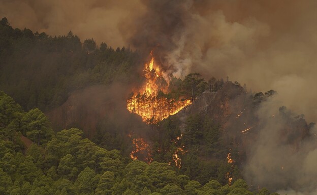 השריפה בטנריפה (צילום: AP)