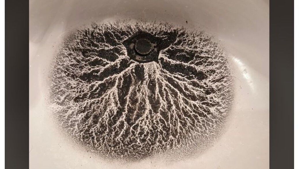 לכלוך מוזר בכיור, צילום מסך מתוך פורום ברדיט לכלוך מוזר בכיור, צילום מסך מתוך פורום ברדיט