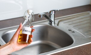 חומץ לכיור, כיור (צילום: In Our Steps, SHUTTERSTOCK)