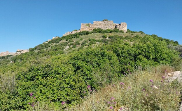 שביל ישראל חרמון  (צילום: עומרי סלנר, החברה להגנת הטבע)