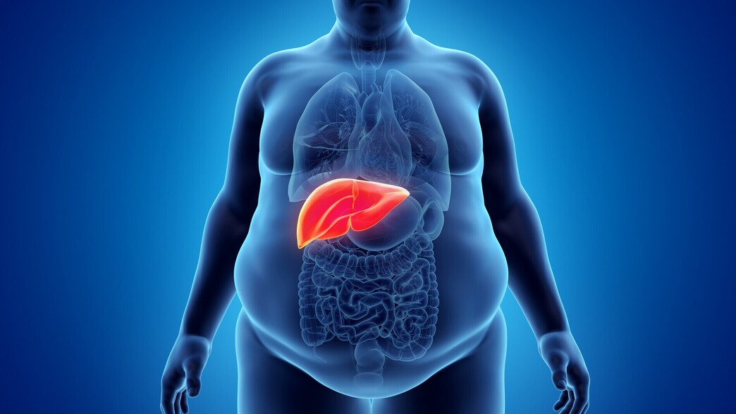 פרופ' יהודה קמרי