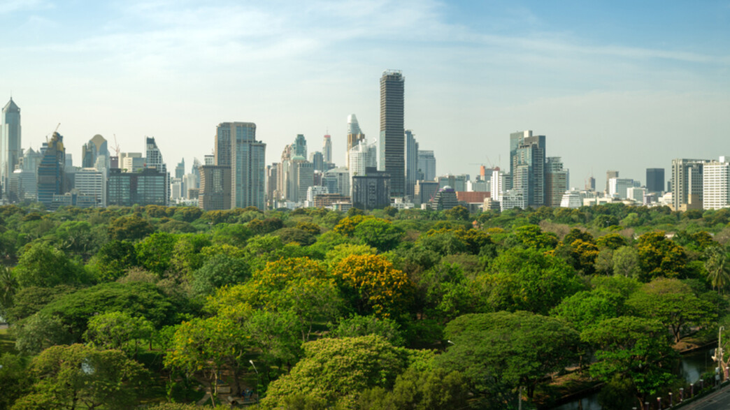 מפעלים ביער 