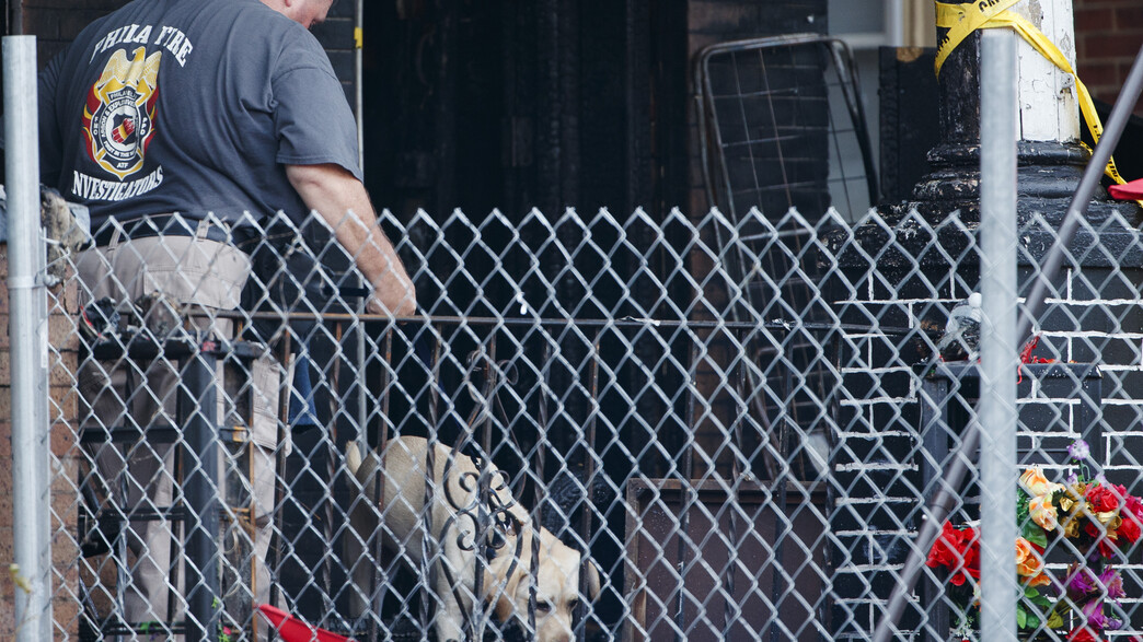 30 כלבים מתים נמצאו בבית בניו ג'רזי